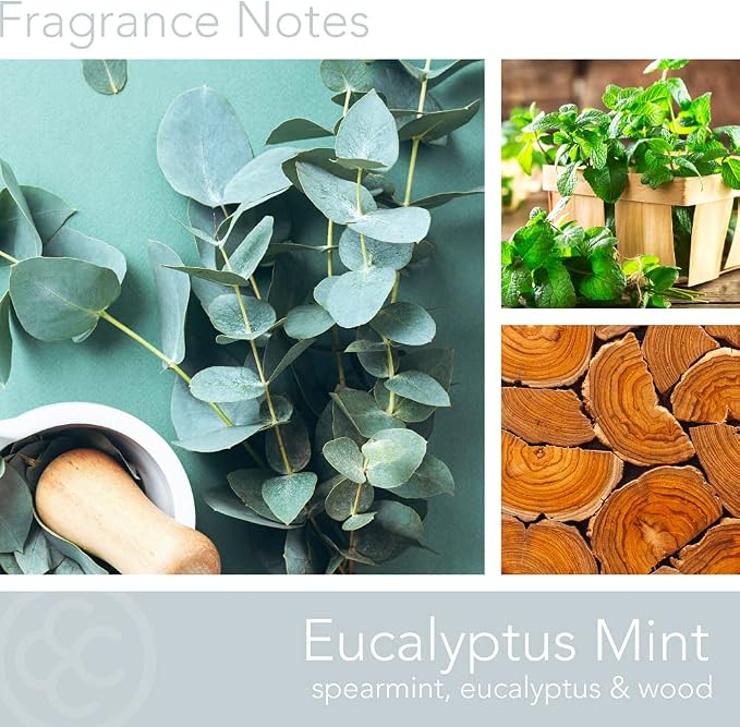 Colonial Candle Eucalyptus Mint Scented Jar Candle, Classic Cylinders Collection, 2 Wick, Green, 19 oz - Up to 120 Hours Burn