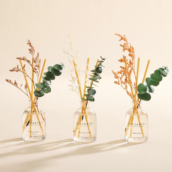 COCORRÍNA Eucalyptus Reed Diffuser Set of 3 - Light Cotton, Mediterranean Citrus, Moroccan Amber Scents, 1.7 fl oz Each, Total 5.1 oz, Scented Oil Diffusers for Home & Office