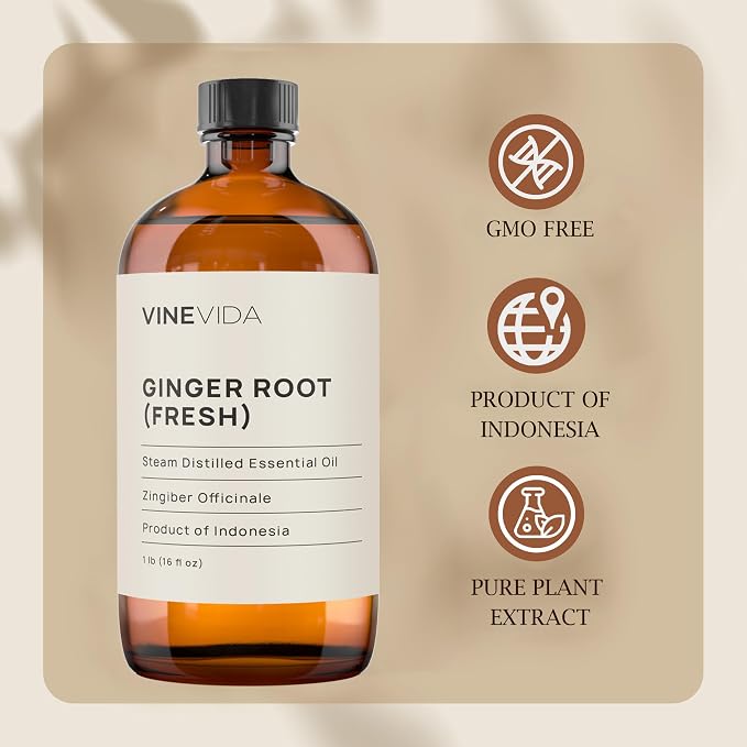 VINEVIDA Fresh Ginger Root Essential Oil 16 oz - Undiluted Ginger Root Oil 16 oz - Ginger Root Candle Oil Scent - DIY Candle Scents for Candlemaking - Bulk Essential Oil for Soap Making Safe for Skin