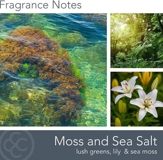 Carolina Moss & Sea Salt Scented Candle, 16 oz Wellness Relaxing Aromatherapy Candle, 2 Wick White Jar Soy Blend Wax, Candles for Home, 60H Burn - Made in The USA