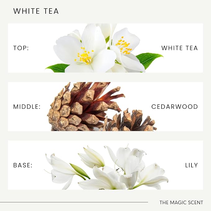 The Magic Scent White Tea Reed Diffuser for Home - Luxury Decorative Scent Diffuser with Premium Fiber Reeds for Lasting Gentle Dispersal - Natural, Toxin-Free Aroma Inspired by a Tranquil Spa