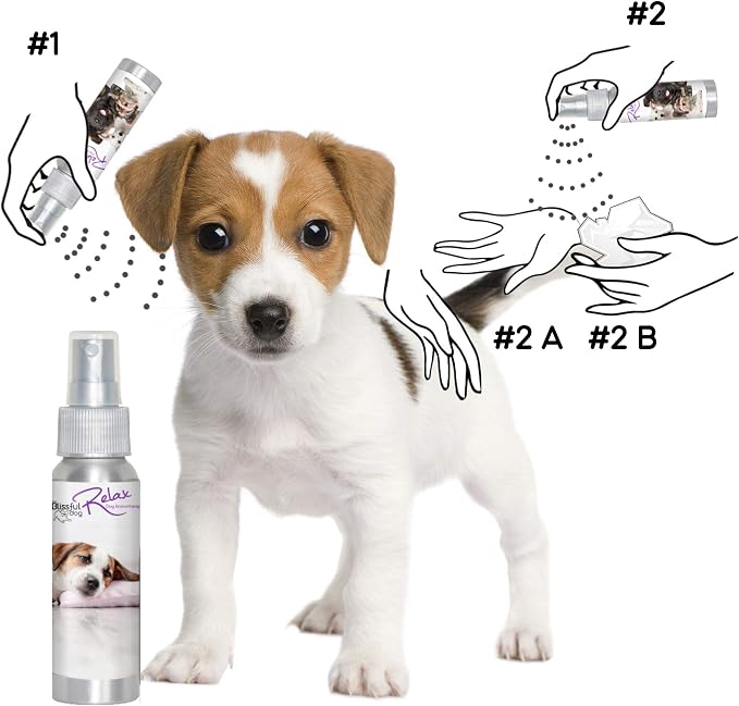 The Blissful Dog Jack Russell Terrier Relax Dog Aromatherapy Spray for Your Dog's Anxiety