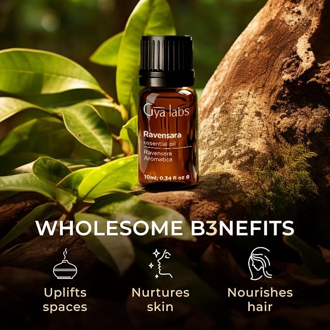 100% Pure Ravensara Essential Oil - 0.34 Fl Oz - Ravensara Oil for Hair, Skin, Diffuser, Aromatherapy & DIY Candle Making Scent