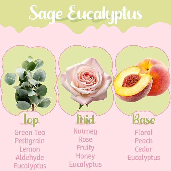 M&SENSE Sage Eucalyptus Scented Candles, 5.64 oz, Up to 30-Hour Burn, Aromatherapy Candle Gifts for Women for Bathroom Kitchen Office