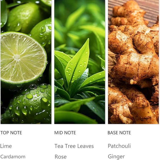 Hotel Diffuser Oil Hope - 120ML Luxury Essential Scent Oils for Cold Air & Waterless Diffusers, Long-Lasting Fragrance Oil for Home, Spa, Office - Premium Aroma Oil Refill, Hotel Air Freshener
