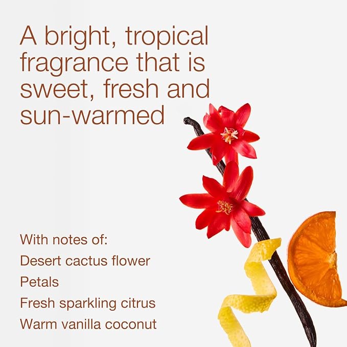Bath & Body Works Cactus Blossom 3-Wick Candle - Scented Candle for At-Home Use - Long-Lasting, Room-Filling Fragrance - High Fragrance Oil Concentration - Soy Wax Blend