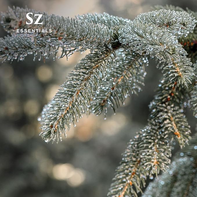 Silver Fir Essential Oil - Delightful! - 100% Pure and Natural - Undiluted - 5ml
