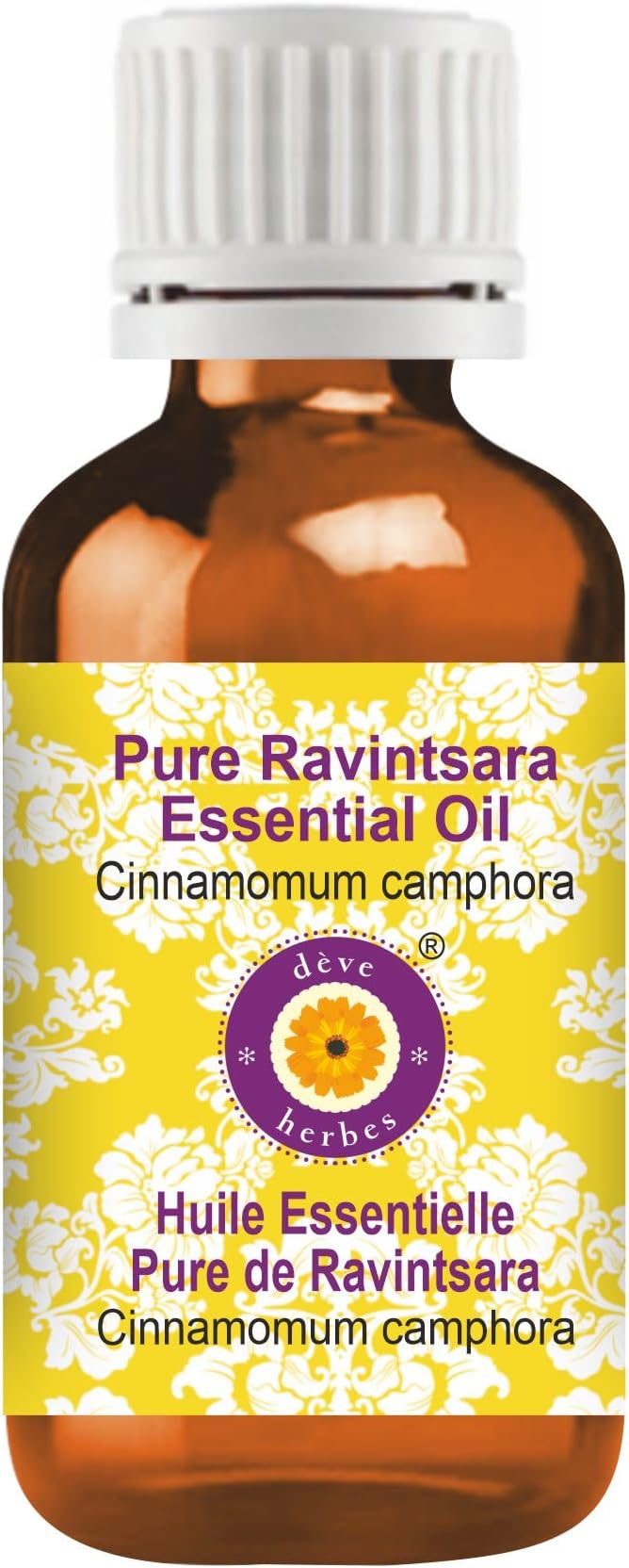 dève herbes Ravintsara Essential Oil (Cinnamomum camphora) Pure | Non-Sticky | Non-Greasy | Lightweight | Men & Women | All Skin Types | Steam Distilled 30ml (1 oz)