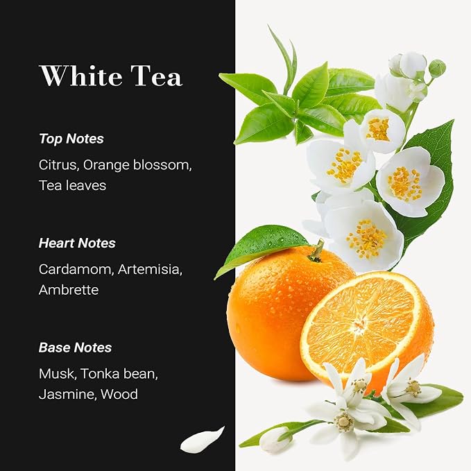 JCLOUD White Tea Hotel Diffuser Oil - 16.9 Fl Oz (500mL) - Luxury Cold Air Diffuser Oil Refill & Hotel Scent Essential Oils Bulk for Home, Aromatherapy, Offices