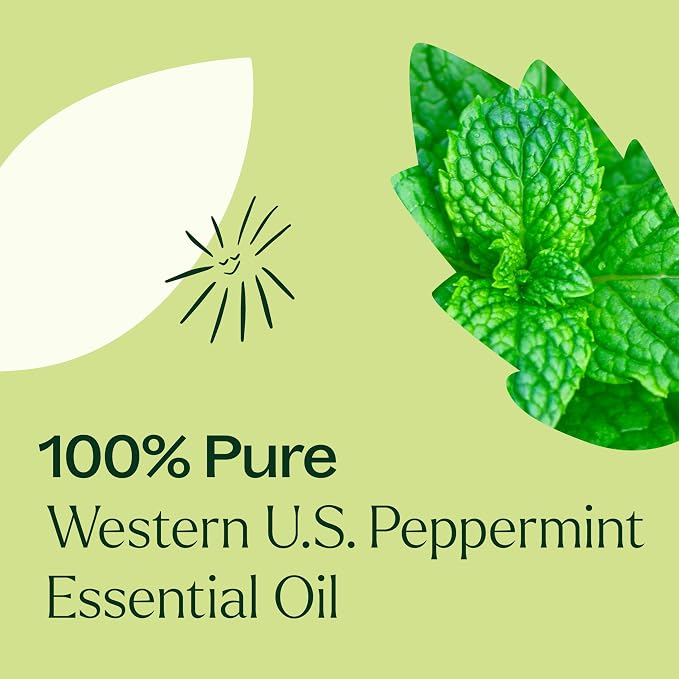 Plant Therapy Peppermint Western U.S. Essential Oil 30 mL (1 oz) 100% Pure, Undiluted, Therapeutic Grade