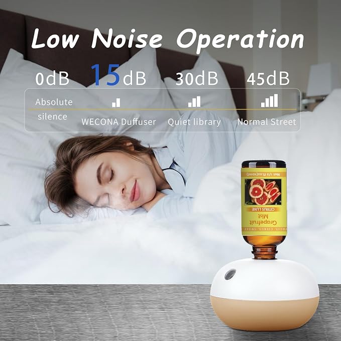 Rechargeable Waterless Oil Diffuser - 2 Mist Modes Essential Oil Diffusers with 6 Essential Oils(10ml) for Home,Car,Office - Scent Diffuser Starter Kit
