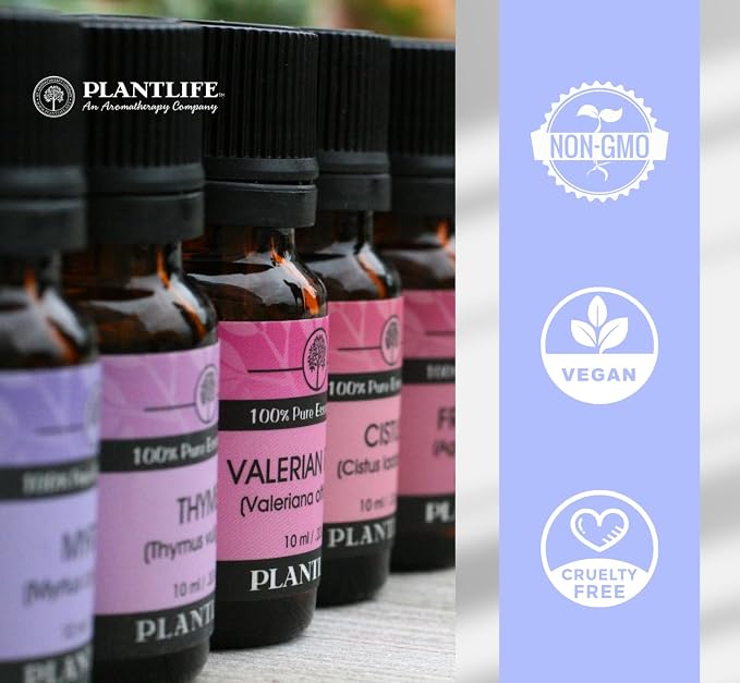 Plantlife Lemon Eucalyptus Aromatherapy Essential Oil - Straight from The Plant 100% Pure Therapeutic Grade - No Additives or Fillers - 10 ml
