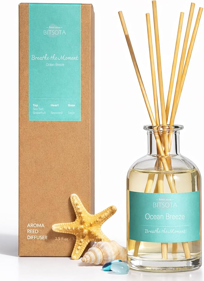 Natural Reed Diffuser Set, Ocean Breeze 3.52 oz (100ml) Scented Diffuser with Sticks Home Fragrance Reed Diffuser for Bathroom Shelf Decor, Ideal Gift for Woman
