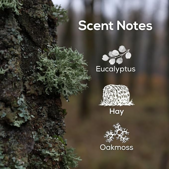 Scent Fill Oakmoss Plug in Air Freshener Starter Kit, 2 Refills + Diffuser
