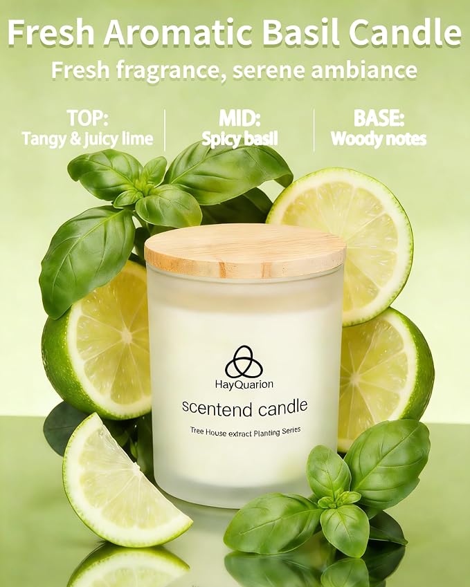 Lime & Basil Scented Non Toxic Candles for Home, Natural Soy Wax Aromatherapy Candle Gifts for Women Men, Meditation, Aromatherapy, Fresh Home Decor, Odor Eliminating Citrus for Kitchen