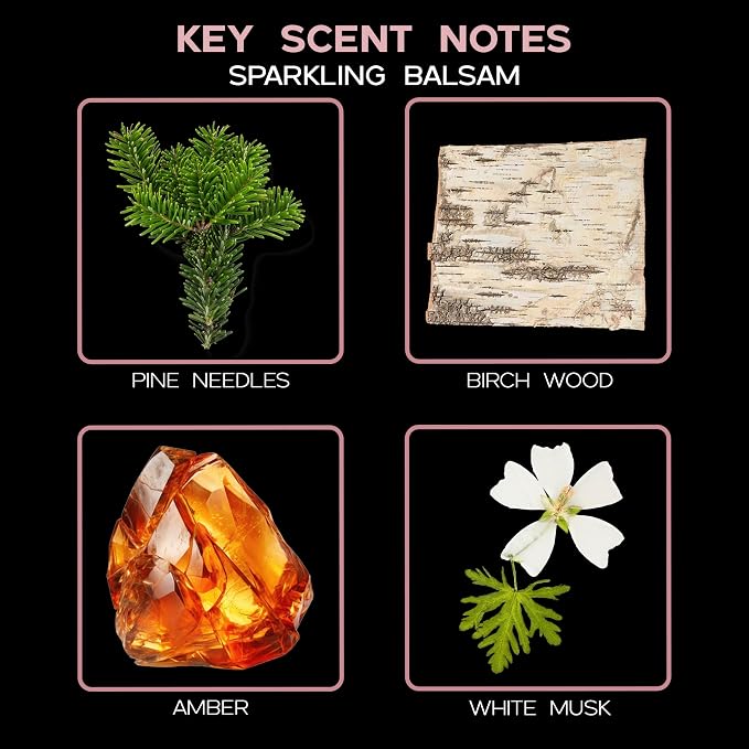 Reed Diffuser Set, Sparkling Balsam Scented Oil Diffuser with Sticks, Home Fragrance Accessories for Bathroom Shelf Decor, Aroma Diffusers for Home or Office Desk, USA Made