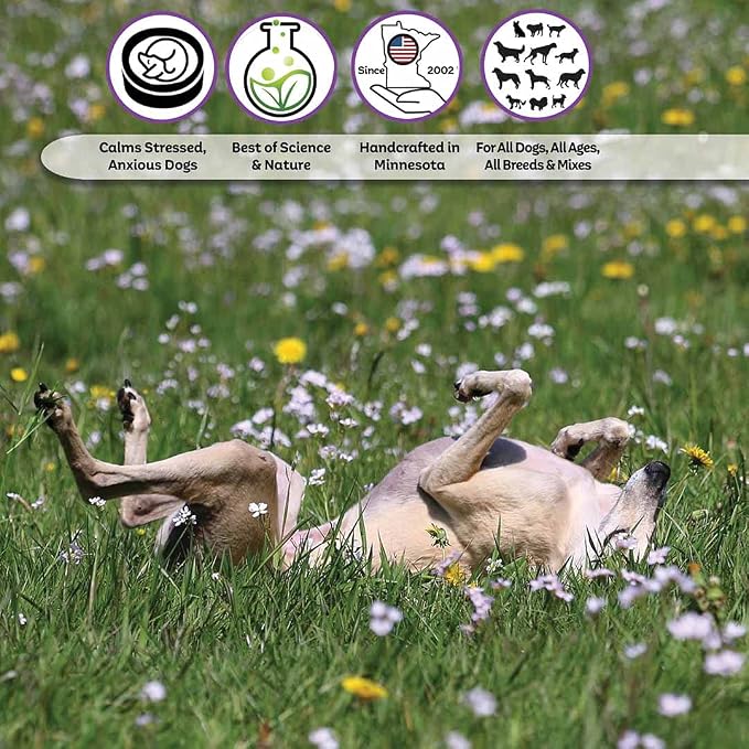 The Blissful Dog All Natural Greyhound Relax Dog Aromatherapy Spray