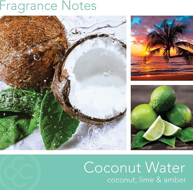 Colonial Candle Coconut Water Scented Jar Candle, Classic Cylinders Collection, 2 Wick, Blue, 19 oz - Up to 120 Hours Burn