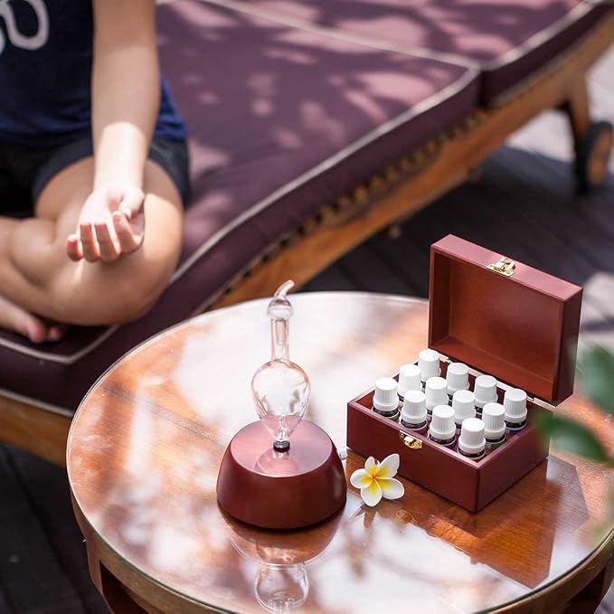 Super Explorer Aromatherapy Kit by Organic Aromas - 1 Elegance Essential Oil Diffuser and 12 100% Pure Essential Oils in 10ml Bottles - Handsome Wooden Storage Box
