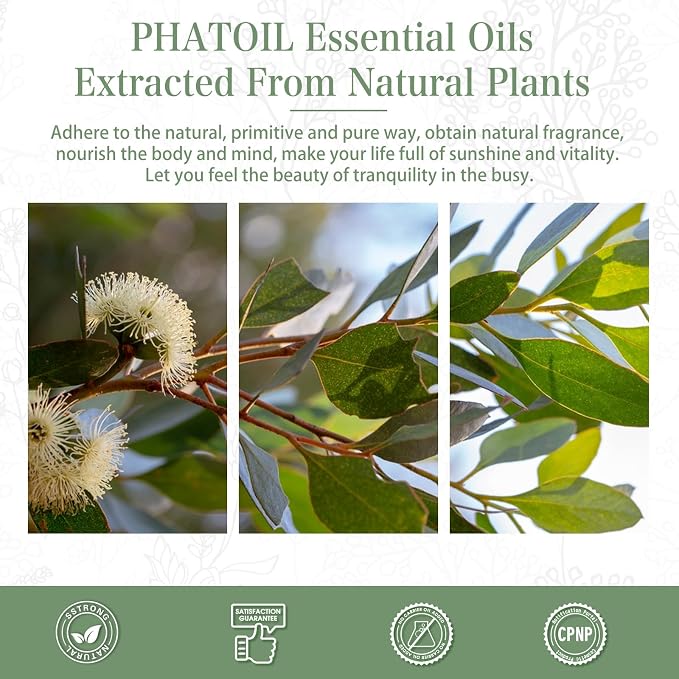 PHATOIL Eucalyptus Essential Oil 30ML, Pure Eucalyptus Essential Oils for Diffuser, Humidifier, Aromatherapy, Perfect for DIY Soap, Candle, Bath Bombs Making