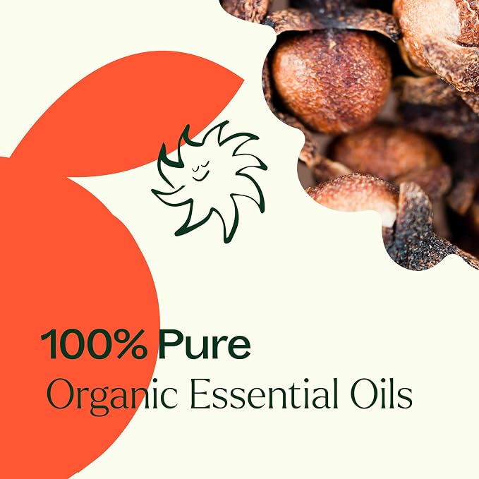 Plant Therapy Organic Orange Clove Essential Oil Blend for Diffuser 10 mL (1/3 oz) Naturally Energizing, Naturally Freshens the Air with Citrus & Spice Great Addition to DIY Household Cleaners
