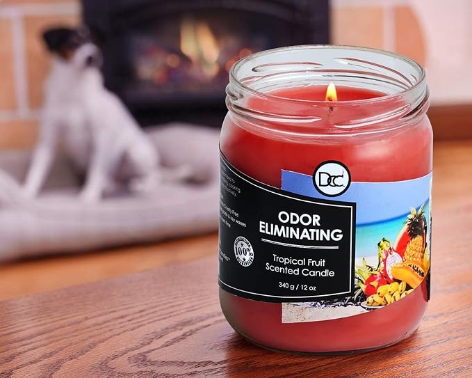 Tropical Fruit Two Pack Odor Eliminating Highly Fragranced Candle - Eliminates 95% of Pet, Smoke, Food, and Other Smells Quickly - Up to 80 Hour Burn time - 12 Ounce Premium Soy Blend