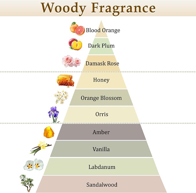 XEPTLE Amber Reed Diffuser for Home, Air Freshener, Woody Scent Diffuser with 5 Reeds for Bedroom Living Room Bathroom Décor, Orange Plum Rose with Honey Amber Vanilla & Sandalwood, 7.04oz, Black