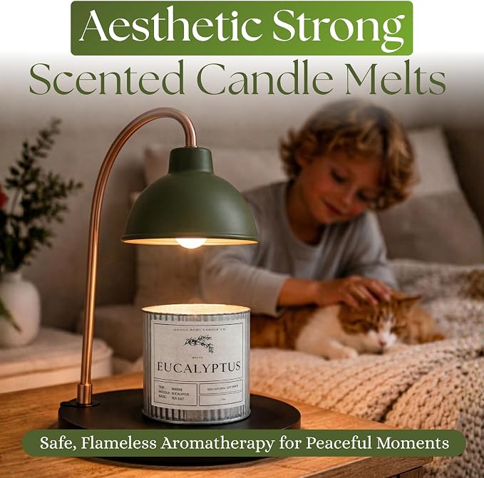 Dough Bowl Candle Co. Wickless Candles for Candle Warmer Lamp - Set of 2 Jar Candles for Warmer Lamp, Wax Melts Strong Scent in Eucalyptus and Jasmine, Flameless No Wick Scented 100% Soy Wax