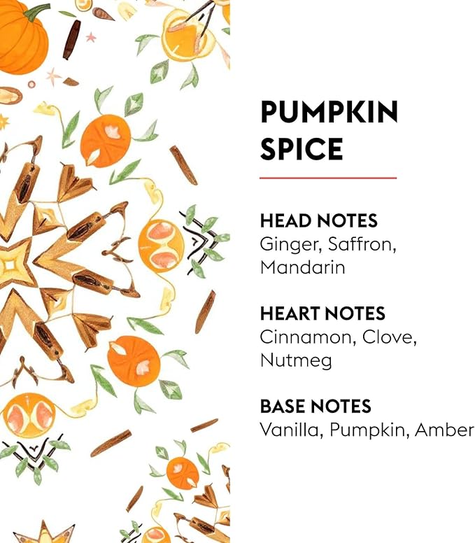 MAISON BERGER Lampe Berger Refill, 1 L, Pumpkin Spice | Catalytic Lamp Fragrance Refill, Helps Neutralize Odors, ~160 h Fragrance Diffusion, Made in France