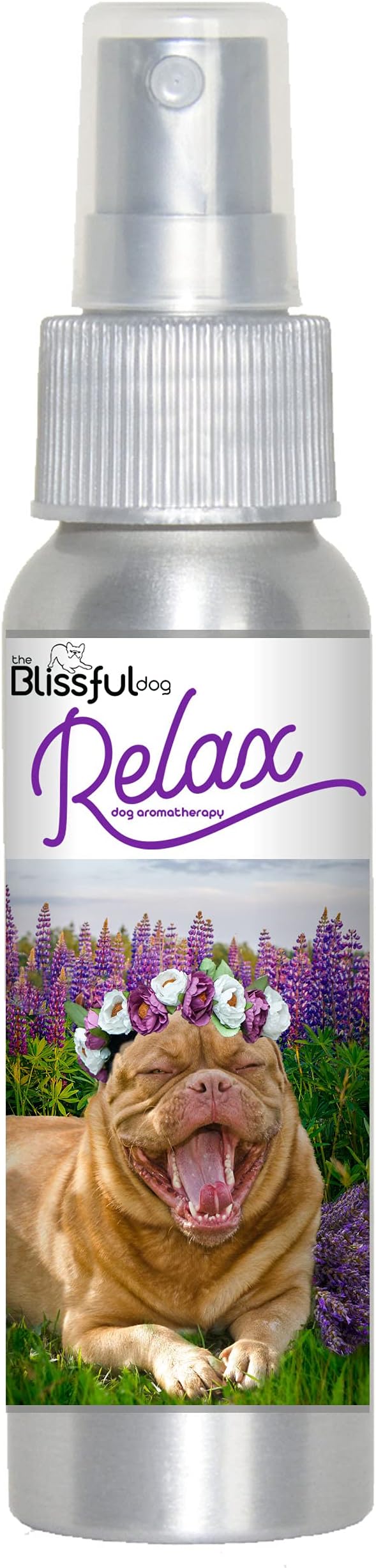 The Blissful Dog Dogue De Bourdeaux Relax Dog Aromatherapy Spray for Your Dog's Anxiety