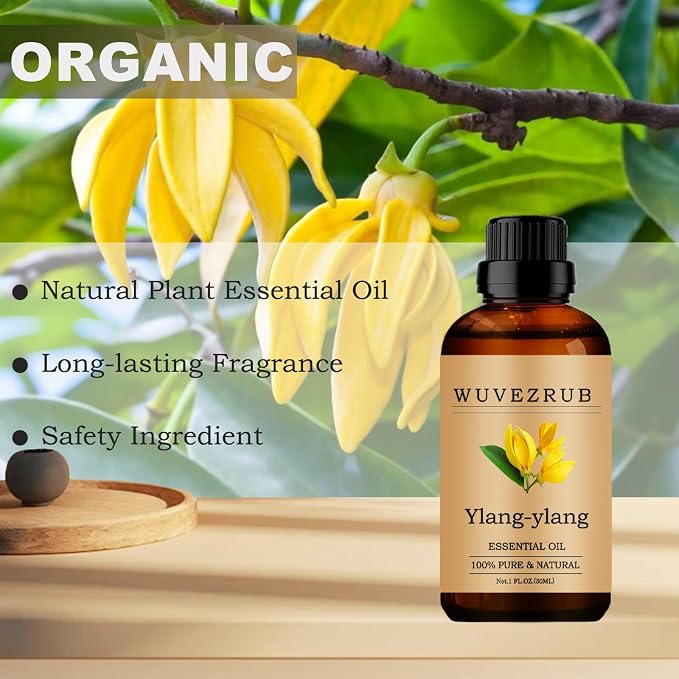 Ylang-Ylang Essential Oils, 30ML Pure and Natural Essential Oil for Aromatherapy Diffuser - Ylang-Ylang /1 Fl Oz