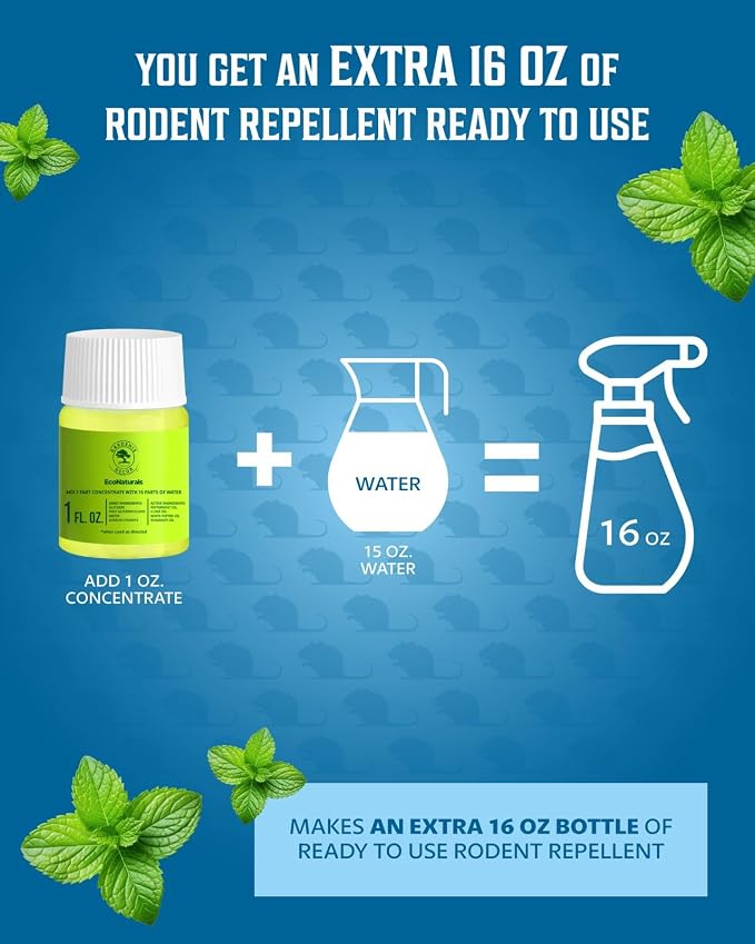 All Natural Peppermint Oil Spray – Peppermint Oil Spray for Mice and Rats 2 Bottle Value - 16oz + 1oz Concentrate