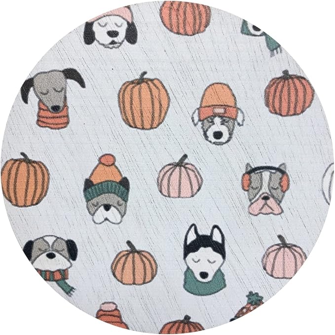 Sand + Paws Scented Candle - Apple Cider - Additional Scents and Sizes –Luxurious Air Freshening Jar Candles Neutralize pet Odors and Enhance Home décor – 100% Cotton Lead-Free Wicks - 12 oz