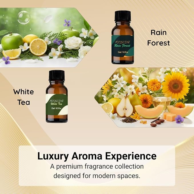 Luxury Aroma Oil for Diffusers – White Tea, Rain Forest, Hotel Signature, Ocean Haven, Harmony, Citrus Delight, Blossom Breeze – Home & Spa Fragrance Oils (Pack of 5)