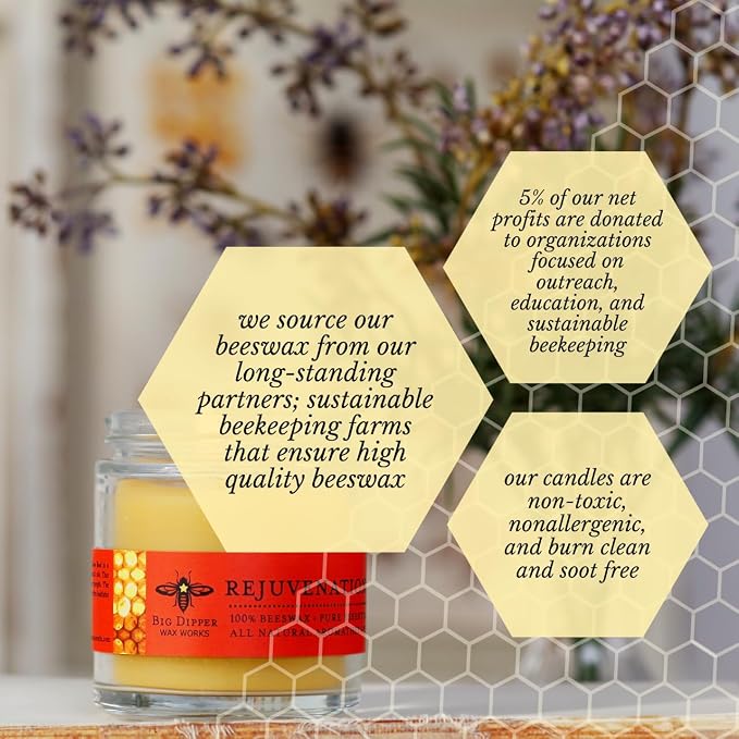 Big Dipper Wax Works Beeswax Aromatherapy Candle, Rejuvenation - Sweet Orange & Clove Bud, Apothecary Glass, Essential Oils, 100% Natural Beeswax, 20-Hour Clean Burn, Uplifting & Energizing, 2" x 2.5"