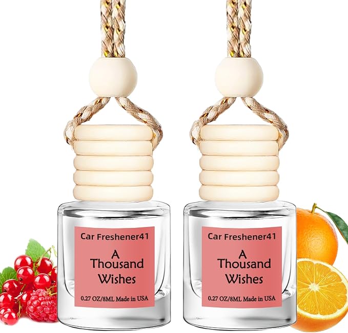 Hanging Car Air Freshener, Long Lasting Essential Oil Diffuser, Non-Toxic New Car Scent, Cute Car Fresheners for Women, 2 Pack Made in USA