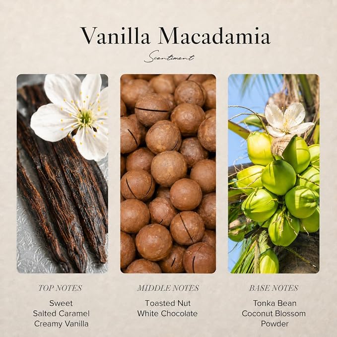 Scentiment Vanilla Macadamia Diffuser Oil - Premium Hotel Scent with Notes of Toasted Nut, Creamy Vanilla & Coconut Blossom Home Scent, Hotel Fragrance Oil Diffuser Refill - 1.69 fl oz (50 mL)