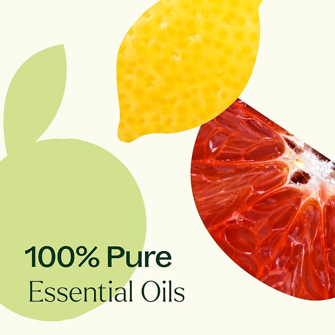 Plant Therapy Citrus Burst Essential Oil Blend, 30 mL (1 oz), Made with 100% Pure Essential Oils, Uplifting and Bright Scent, Great for Essential Oil Diffusers
