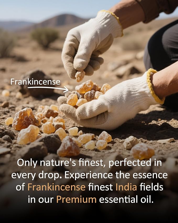 Frankincense Essential Oil 4 fl oz – 100% Pure for Diffuser, Large Value Size for Everyday Home Aromatherapy, DIY Candles, Soap Making, Massage Dilution – Warm Resinous Scent