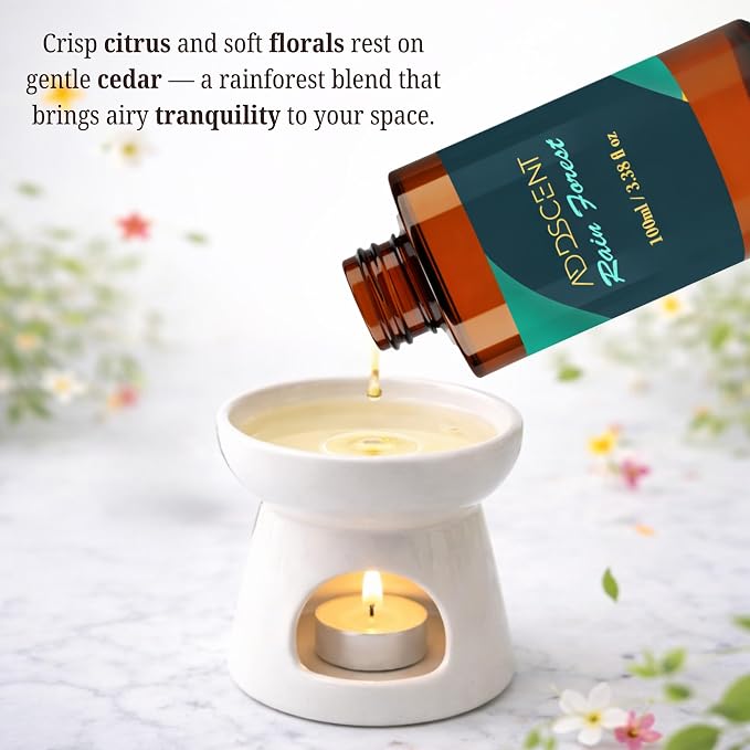 Rain Forest Fragrance Oil 100ml for Diffuser, Nature-Inspired Fresh Aroma for Bedroom Living Office Spa, Layered Citrus, Floral, and Woody Notes for Light, Airy, and Uplifting Ambience