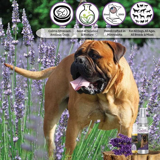 The Blissful Dog Bullmastiff Dog Relax Roll-ON Aromatherapy for Dogs - Anxiety Relief for Dogs