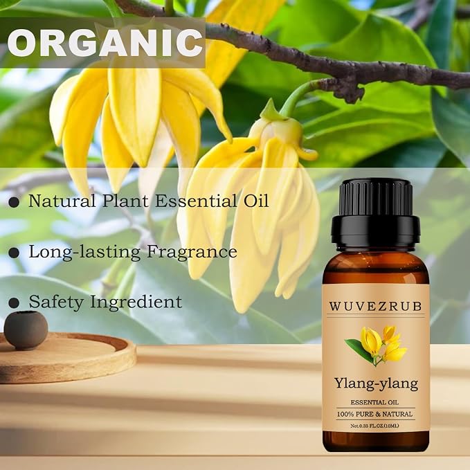 Ylang-Ylang Essential Oil 10ML, 100% Pure and Natural for Aromatherapy Diffuser - 0.33 Fl Oz