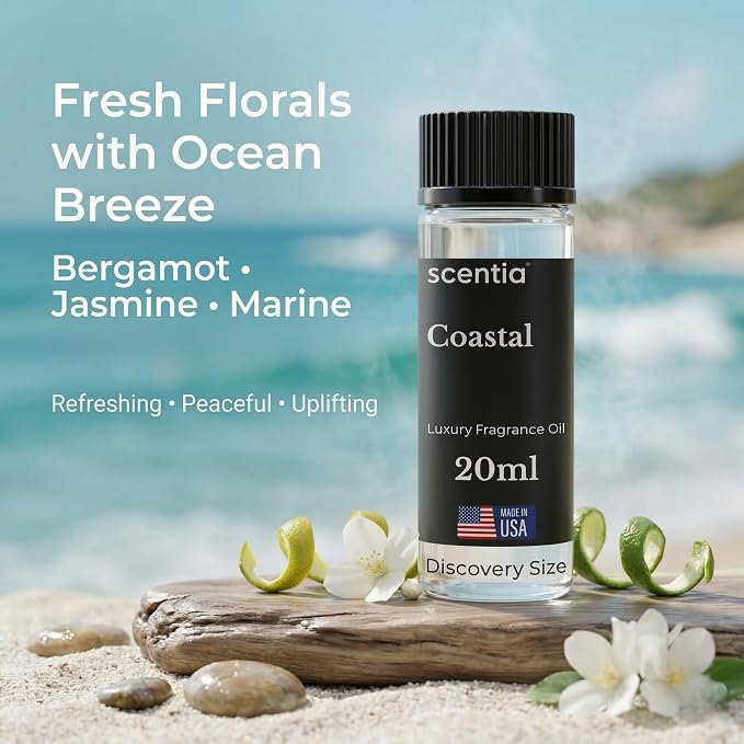 Scentia Coastal (Cabana) Aromatherapy Oil for Diffuser – Hotel Scent Inspired by 5-Star Spa – 20 mL – Jasmine, Bergamot & Sea Breeze Natural Fragrance Oil for Waterless & Cold Air Diffusers