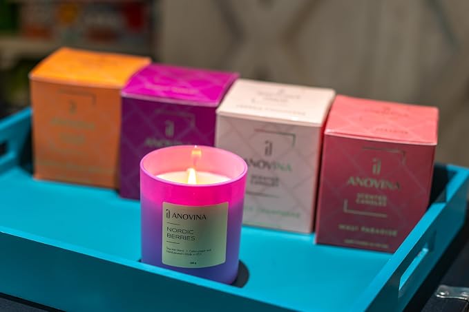 Anovina Nordic Berries Scented Candle — Fruity Berry & Sweet Musk Soy Blend | Long Lasting Jar Candle for Home | Nordic Gifts & Berry Scented Candles | Hand Poured in USA
