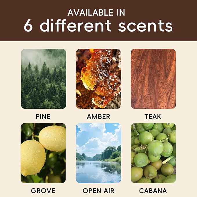 Car Air Freshener Natural Essential Oil Scent, Odor Eliminator and Purifier, Sun Visor Clip Air Freshener for Car(Starter/Amber)