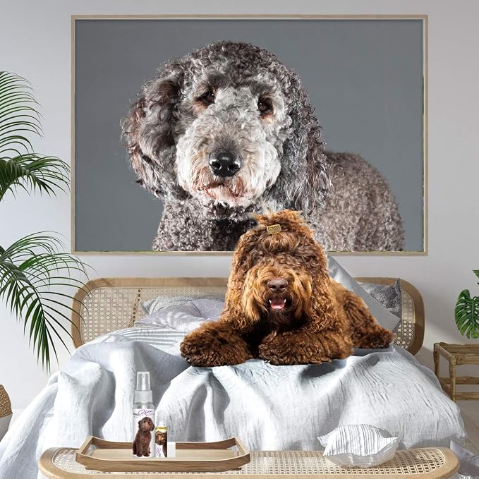 The Blissful Dog Labradoodle Relax Dog Aromatherapy Spray for Your Dog's Anxiety