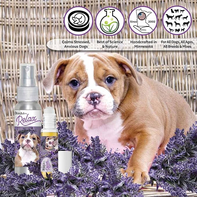The Blissful Dog American Bulldog Relax Roll-ON Aromatherapy for Dogs - Anxiety Relief for Dogs