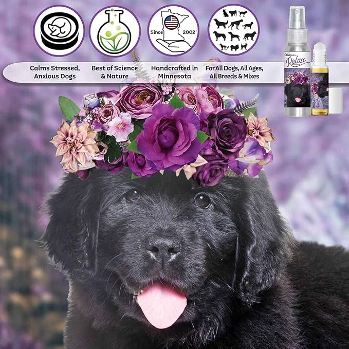 The Blissful Dog Newfoundland Relax Dog Aromatherapy Spray for Your Dog's Anxiety