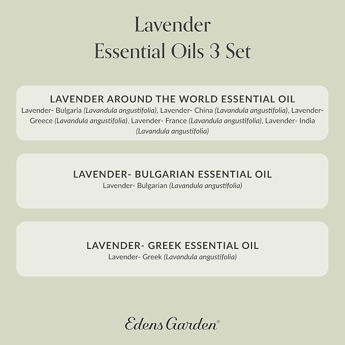 Edens Garden Lavender Essential Oils 3 Set – 100% Pure Therapeutic Grade, Aromatherapy Floral Scents For Relaxation, Skin, Candle Making & Diffusers – Natural, Vegan & Fragrance Oil Free, 10 ml/3 Pack