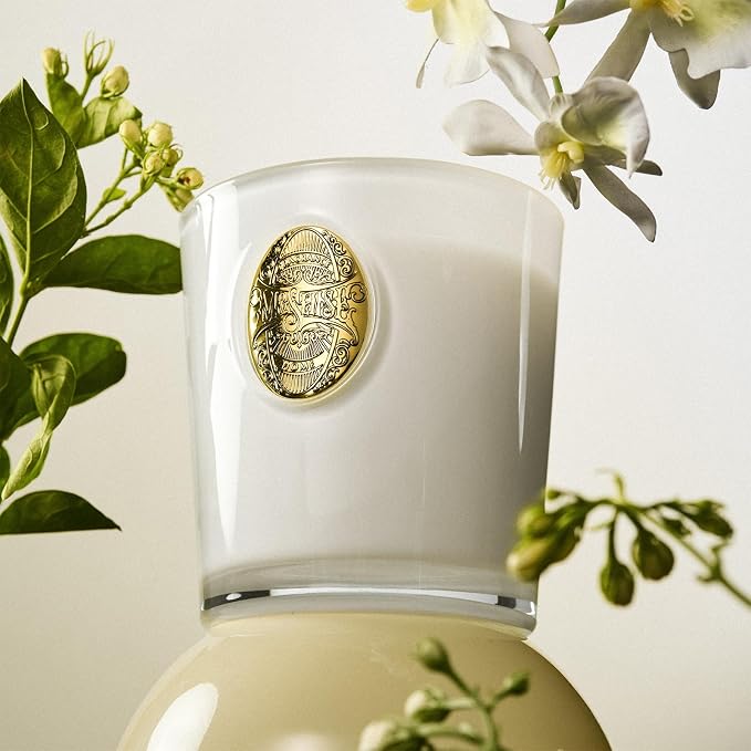 M&SENSE Natural Soy Candle | Creamy Vanilla Pie & White | 9.2 oz, 50H Burn Time | Luxury Scented Candle for Relaxation, Gifting, Home Décor | Ideal for Bedroom, Office, Party Ambiance